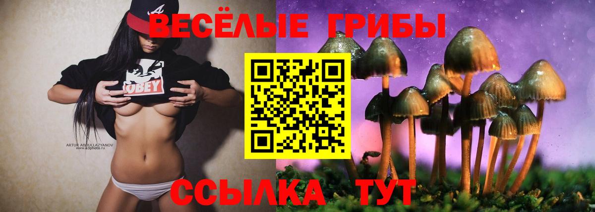 Муравленко  Псилоцибиновые грибы MAGIC MUSHROOMS  Вход с VPN  Галлюциногенные грибы Magic Shrooms 